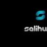 Salihweb