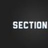Section8