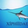xiphiidae