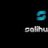 Salihweb